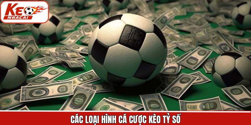 Tổng hợp những loại hình kèo tỷ số