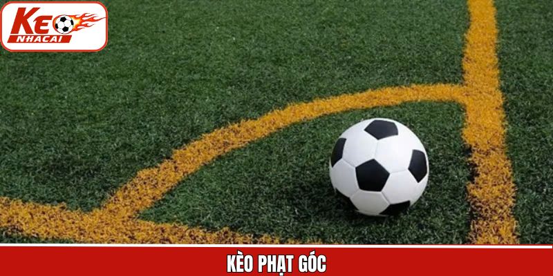 Kèo Phạt Góc - Bí Quyết Đặt Cược Thành Công Cho Hội Viên