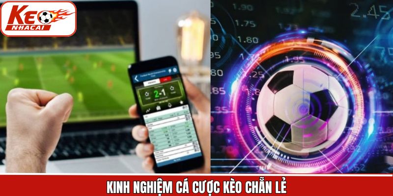 Chiến lược đặt cược chẵn lẻ thắng khủng