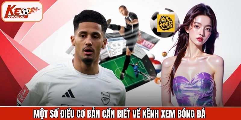 Một số điều cơ bản cần biết về kênh xem bóng đá