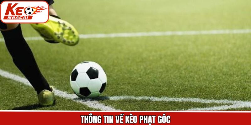Thông tin chi tiết kèo cược phạt góc