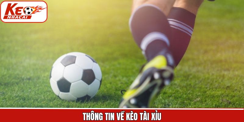 Tìm hiểu loại kèo thu hút người dùng tại Kèo Nhà Cái