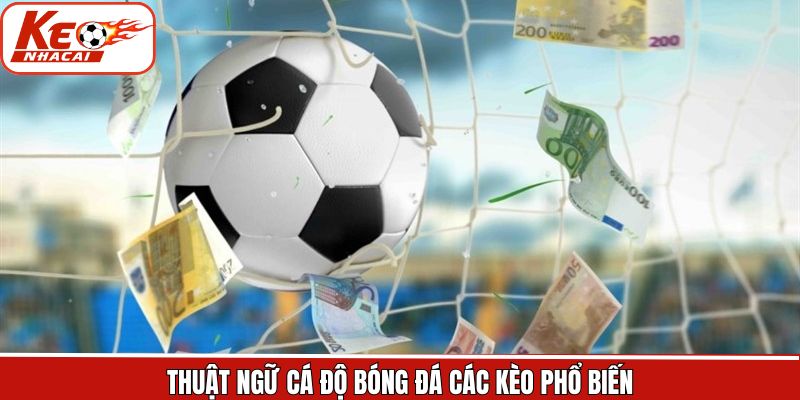 Thuật ngữ cá độ bóng đá về các kèo cược nên nắm 