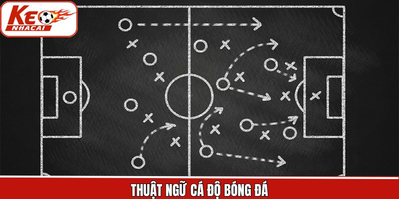Thuật Ngữ Cá Độ Bóng Đá - Kiến Thức Cơ Bản Từ Kèo Nhà Cái