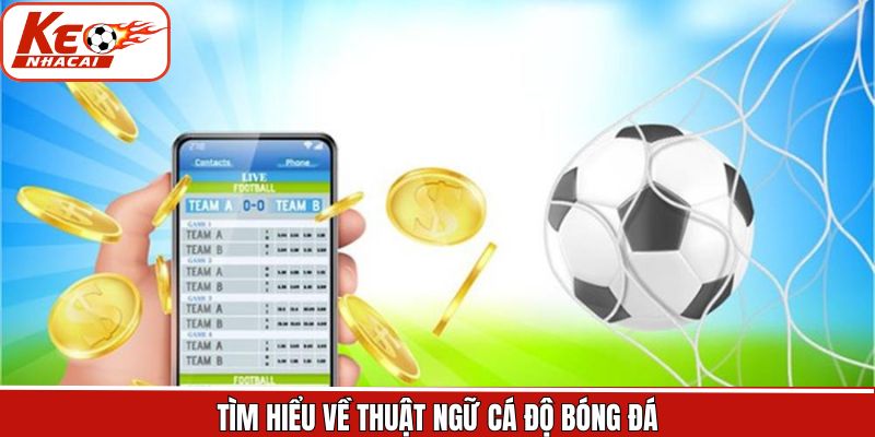 Các thuật ngữ chung về cá cược bóng đá nên biết 