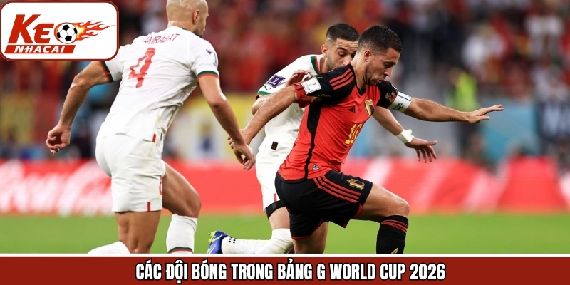 Các đội bóng có mặt trong bảng G World Cup 2026