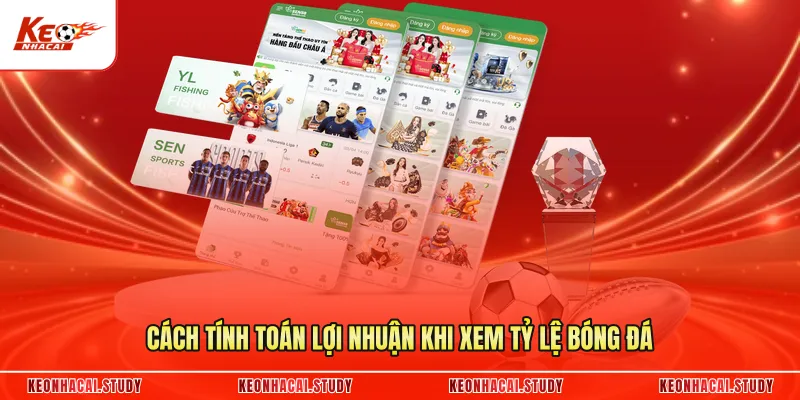 Cách tính toán lợi nhuận khi xem tỷ lệ bóng đá