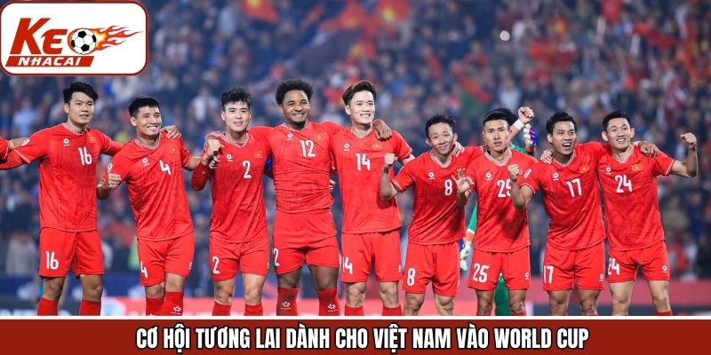 Cơ hội trong tương lai với đội tuyến Việt Nam