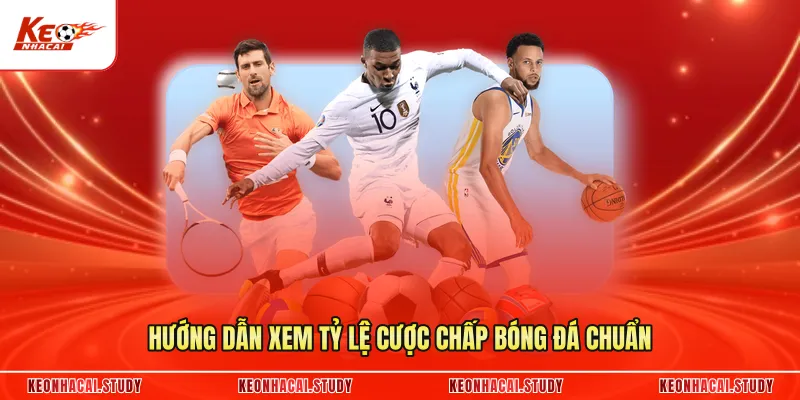 Hướng dẫn xem tỷ lệ cược chấp bóng đá chuẩn