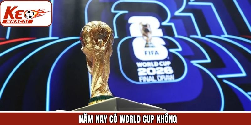 Năm Nay Có World Cup Không? Giải Đáp Về Giải Đấu Số 1 Hành Tinh