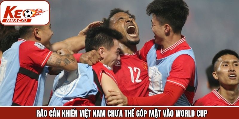 Rào cản khiến Việt Nam chưa thể vào WC