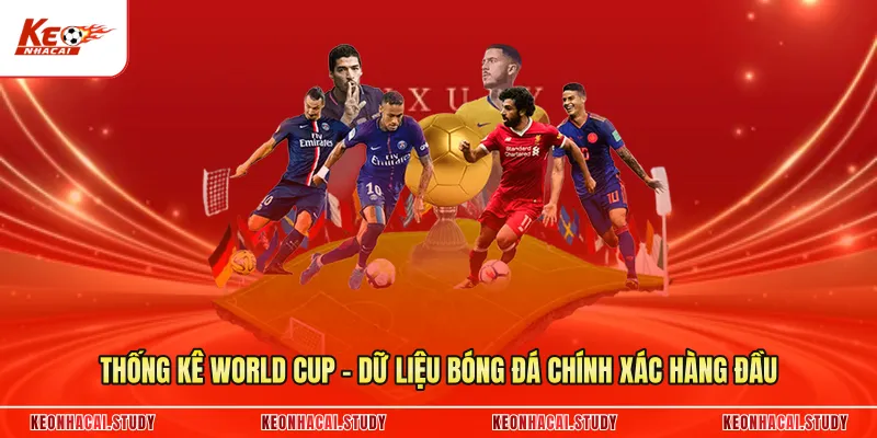 Thống Kê World Cup - Dữ Liệu Bóng Đá Chính Xác Hàng Đầu
