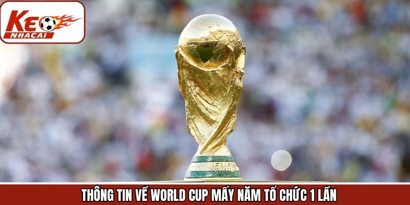 Khái quát về giải World Cup