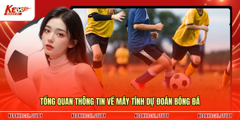 Tổng quan thông tin về máy tính dự đoán bóng đá
