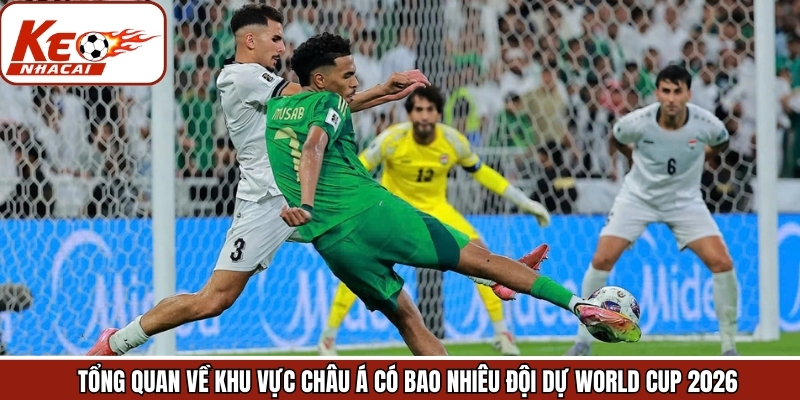 Tổng quan về các đại diện góp mặt cho giải đấu