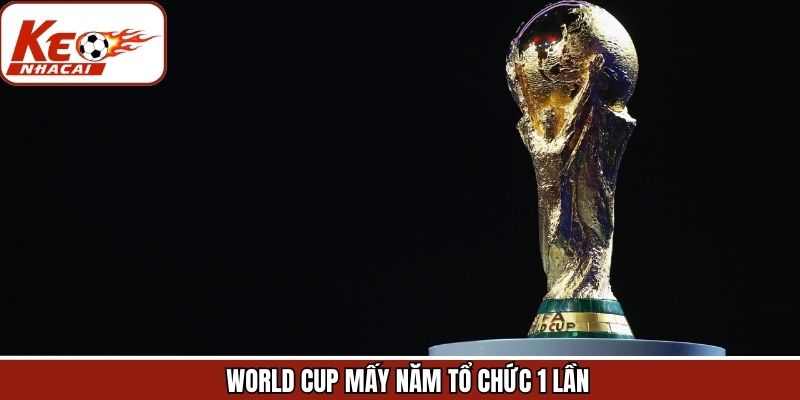 World Cup Mấy Năm Tổ Chức 1 Lần Và Các Yếu Tố Ảnh Hưởng