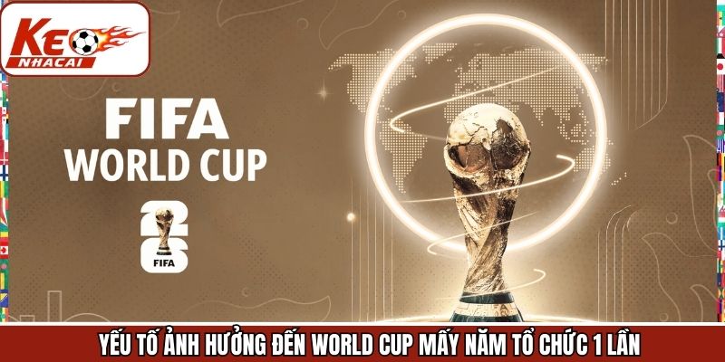 Các yếu tố ảnh hưởng đến chu kỳ WC